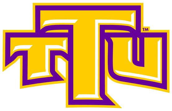Tennessee Tech Golden Eagles 2006-Pres Alternate Logo v2 iron on transfers for clothing